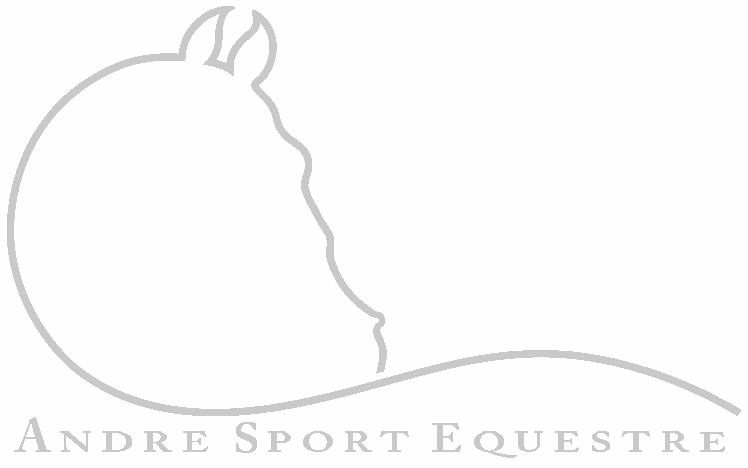Logo André Sport Equestre