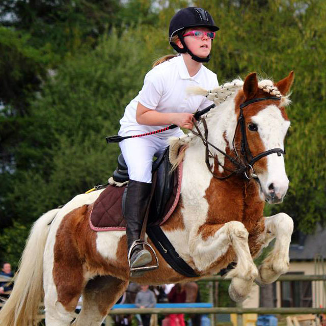 Equitation près de Rennes - André Sport Equestre : de l'initiation à la compétition