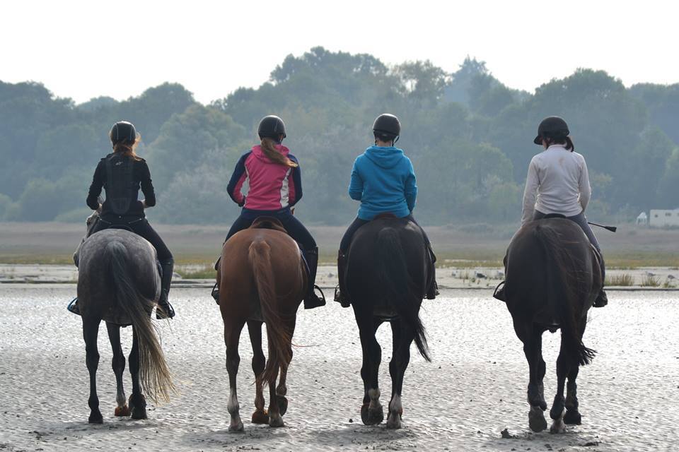 Equitation Rennes : balade à la mer avec André Sport Equestre