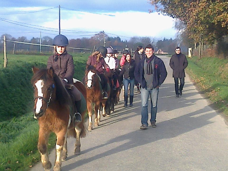 Balades chevaux et poneys le long du canal à Tinténiac, Ille et Vilaine (35) en Bretagne