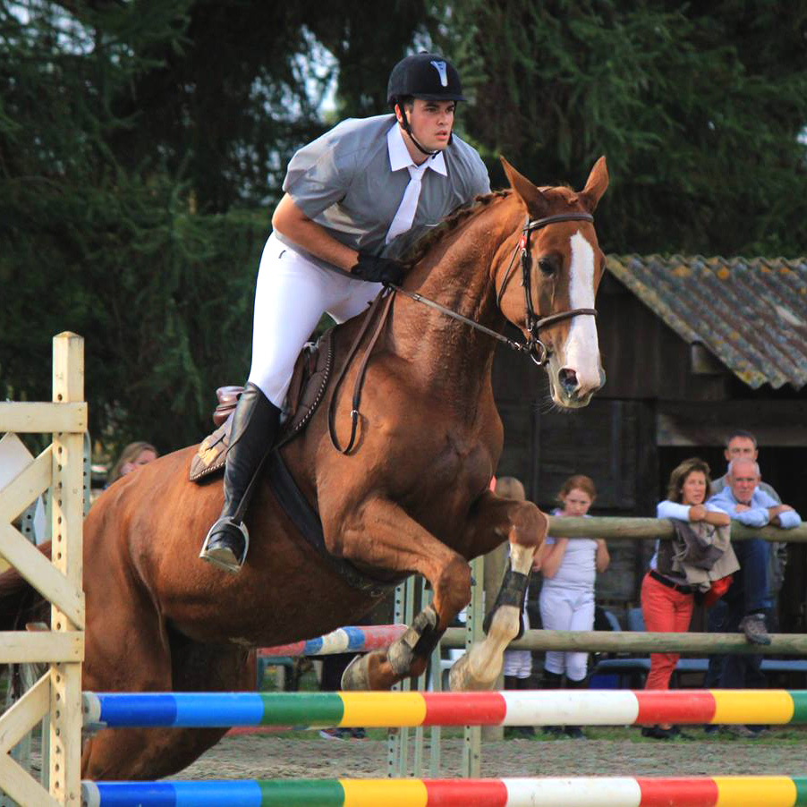 Les chevaux d'instructions d'André Sport Equestre pour pratiquer l'équitation près de Rennes