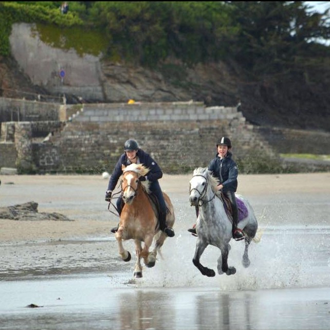 Equitation près de Rennes - André Sport Equestre : poney-club / centre équestre de Tinténiac