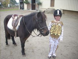 Schtroumpfette : une de nos shetlands, du baby-poney au concours Club à Tinténiac (Ille et Vilaine 35)