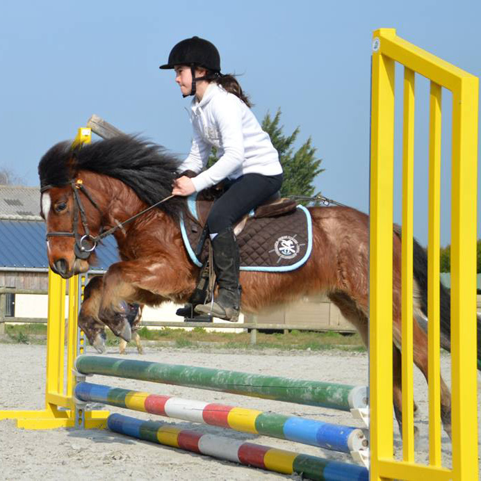 Equitation près de Rennes - André Sport Equestre : du shetland au poney D