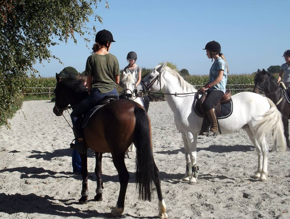 Equitation Rennes : stages d'équitation avec passage de galop pendant les vacances d'été avec André Sport Equestre
