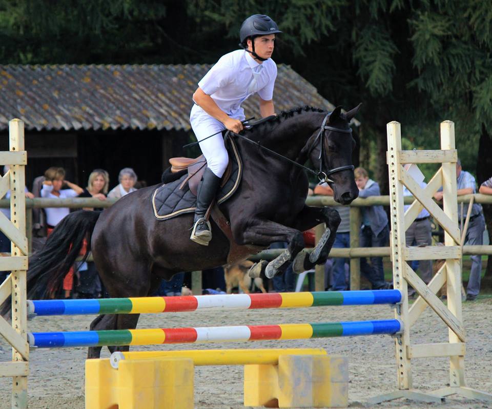 Photo CSO Vermer cheval vendu par André Sport Equestre près de Rennes