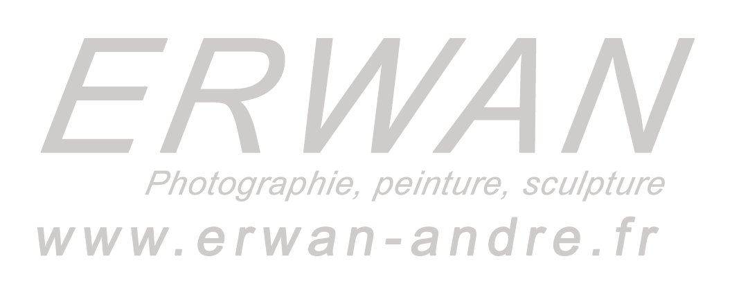 Erwan, photographie, peinture, sculpture