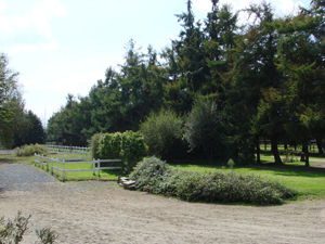 Un cadre de qualité, une propriété entretenue - André Sport Equestre - Tinténiac
