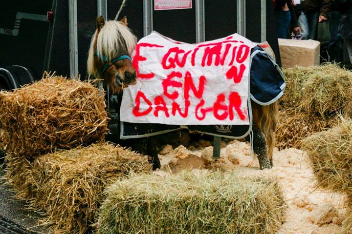 L'équitation en péril : l'équitation est menacée par un changement de fiscalité