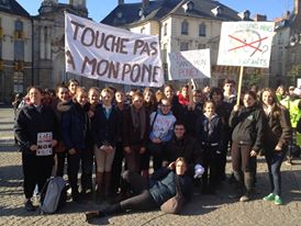 Touche pas à mon poney : manifestation à Rennes samedi 16/11/13